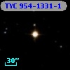 TYC  954-1331-1