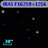 IRAS F16259+1256