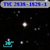 TYC 2838-1828-1
