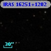 IRAS 16251+1202