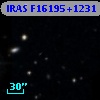 IRAS F16195+1231