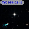 TYC  954-21-1