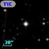 TYC  964-958-1