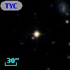TYC  967-487-1