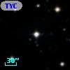 TYC  967-523-1