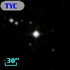 TYC  967-1008-1