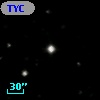 TYC  968-1278-1