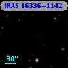 IRAS 16336+1142