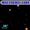IRAS F16363+1104