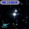 HD 233020