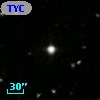 TYC  973-951-1