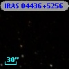 IRAS 04436+5256