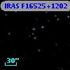 IRAS F16525+1202