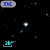 TYC  979-974-1
