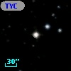 TYC  983-1774-1