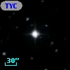 TYC  981-368-1