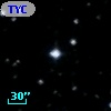 TYC  981-802-1