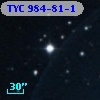 TYC  984-81-1