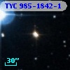 TYC  985-1842-1