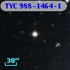 TYC  988-1464-1