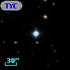 TYC  989-109-1