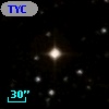 TYC  989-1628-1