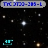 TYC 3733-208-1