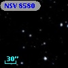 NSV  8580