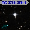 TYC 3733-250-1