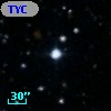 TYC  982-1013-1