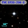 TYC 3733-256-1