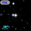 TYC  986-597-1