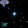 TYC  995-145-1