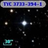 TYC 3733-394-1