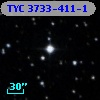 TYC 3733-411-1