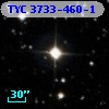 TYC 3733-460-1