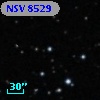 NSV  8529