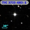 TYC 3733-603-1
