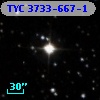 TYC 3733-667-1