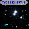 TYC 3733-877-1