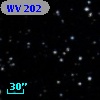 WV 202