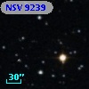 NSV  9239
