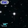 TYC  999-253-1