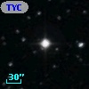 TYC  999-631-1