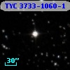 TYC 3733-1060-1