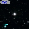 TYC 1000-913-1