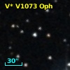 V* V1073 Oph