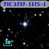 TYC 3737-1175-1