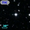 TYC 1005-1313-1