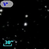 V* V981 Oph